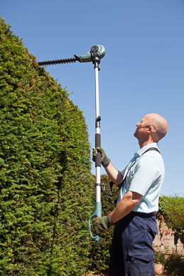 Telescopic hedge trimmer lifestyle with model